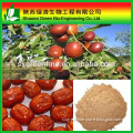 Nature chinese red date sweet powder